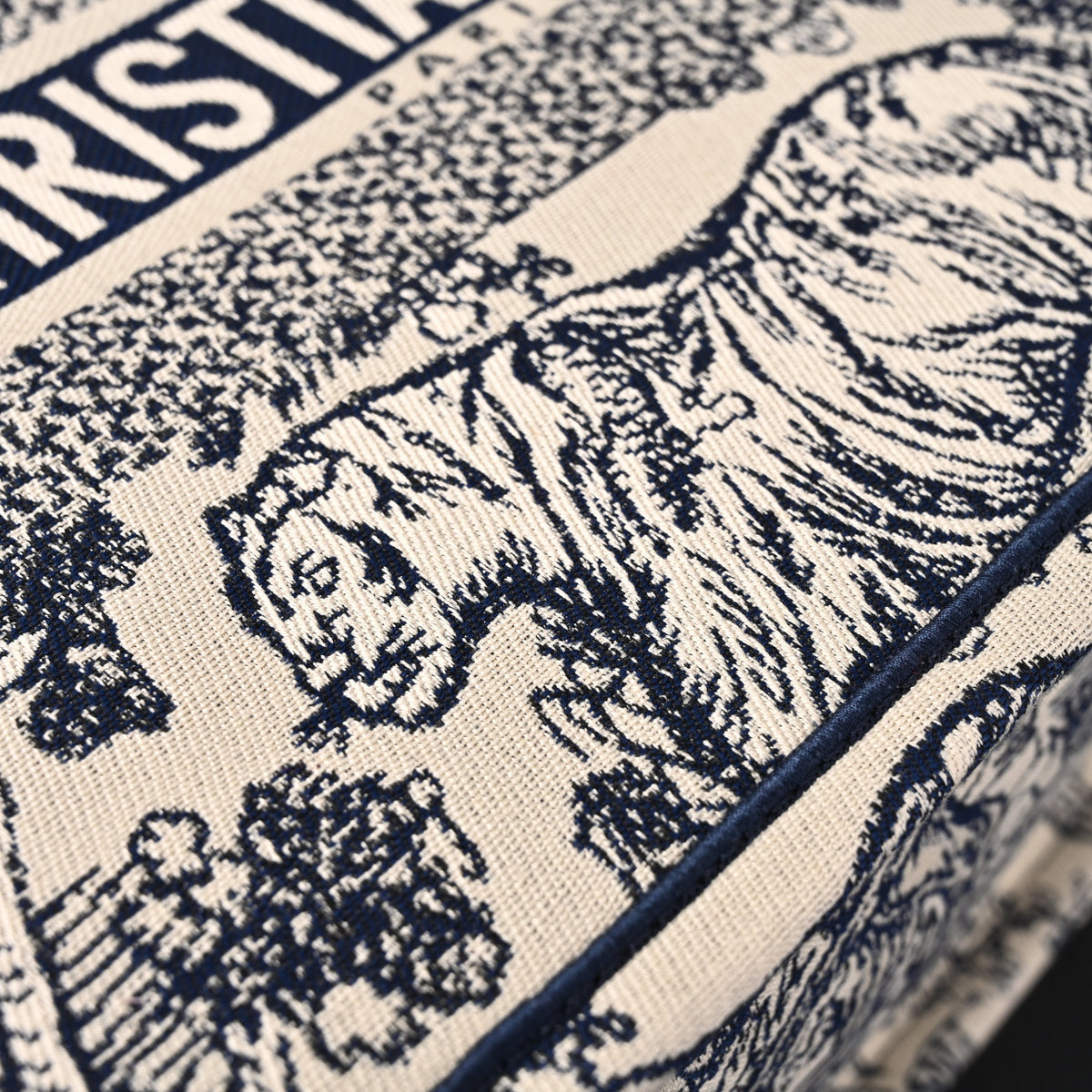 dior-book-tote-bag-blue-toile-de-jouy-embroidery Tote
